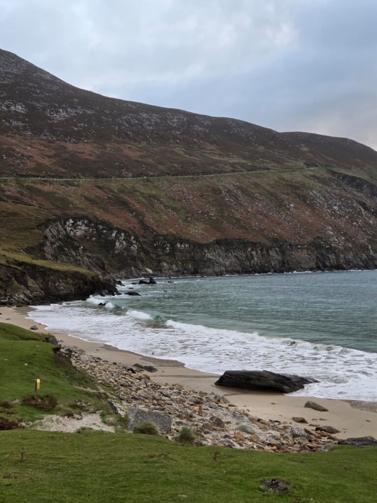 WhatsApp Image 2025-11-25 at 17.39.49_09bac6a7